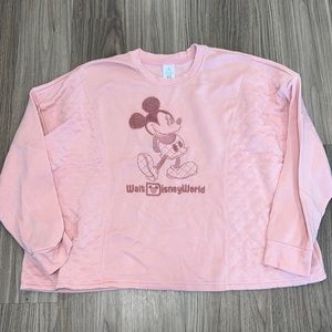 Walt DisneyWorld WDW Sweatshirt Sz 2X